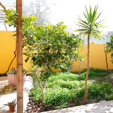 Yellow House-Villetta Con Giardino Oristano Exteriér fotografie